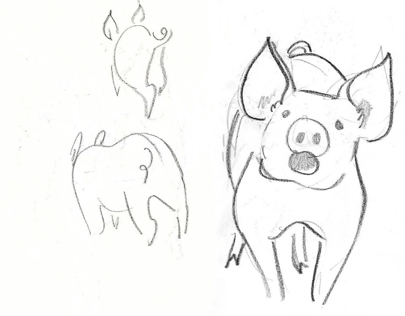 vcoyne pig.jpg