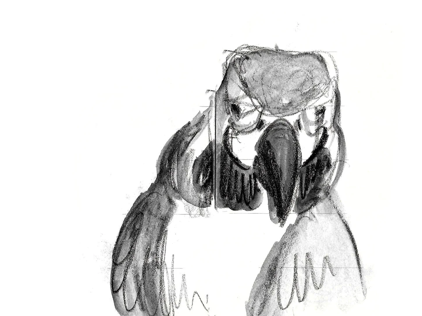vcoyne parrot1.jpg
