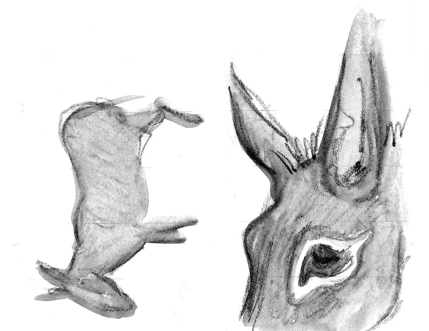 vcoyne donkey2 copy.jpg