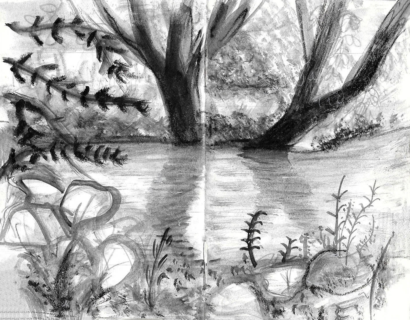 vcoyne river.jpg
