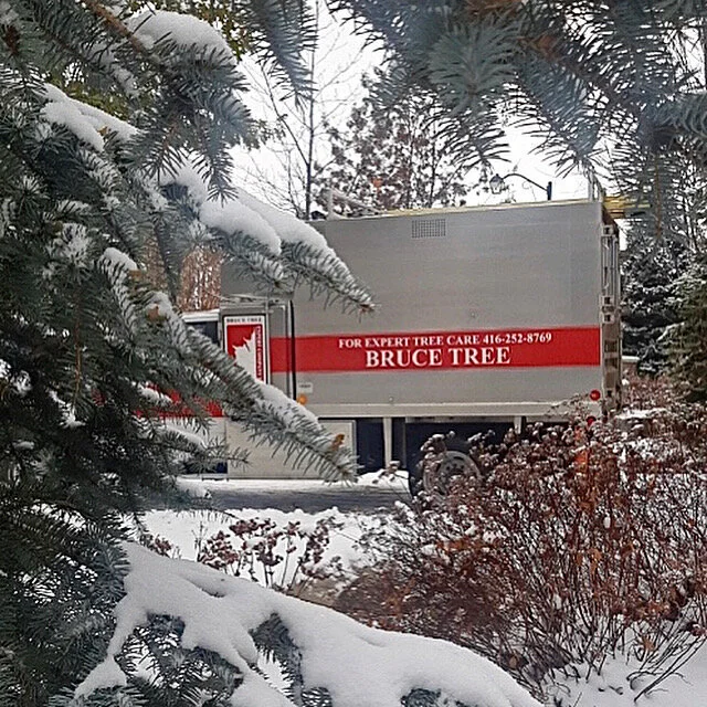  One of our work trucks on a job site on a snowy day. 