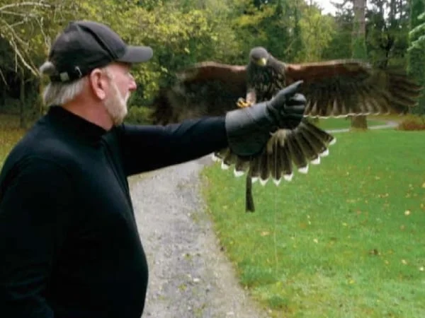 A perfect landing by Swift is thrilling to watch