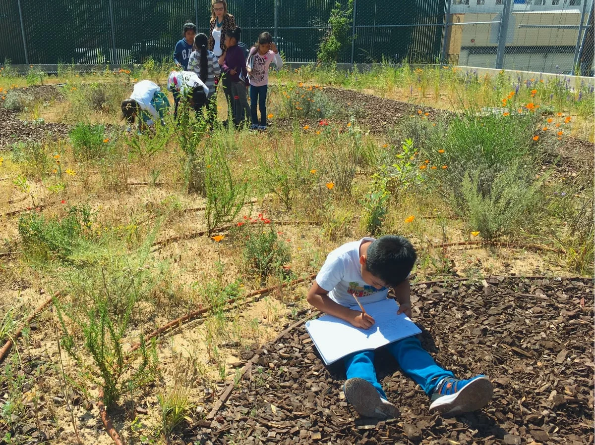 The Schoolyard as eBird Hotspot
