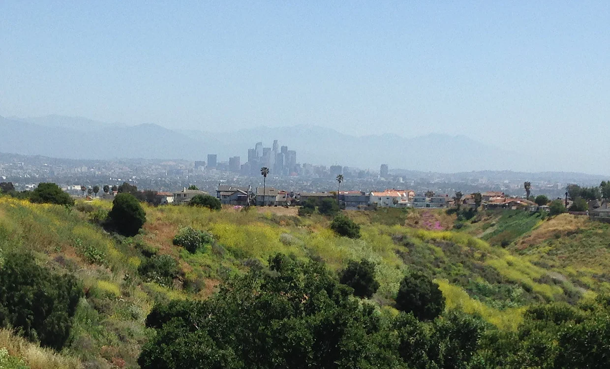 View of downtown LA