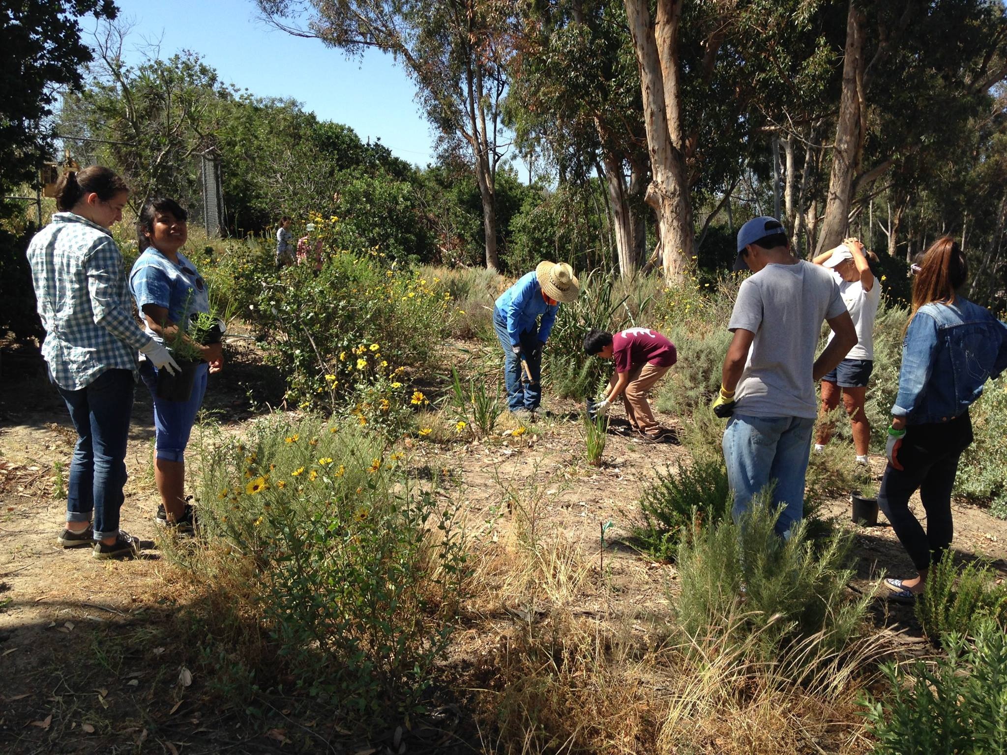 Local nature &amp; community