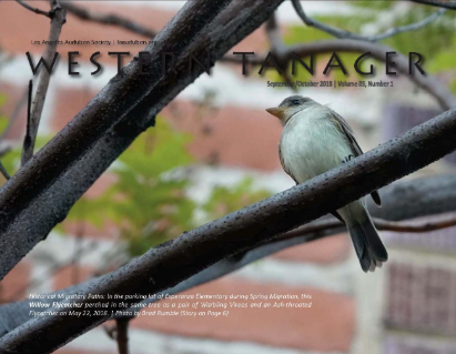 Western Tanager, Vol. 85 No. 1, Sep-Oct 2018