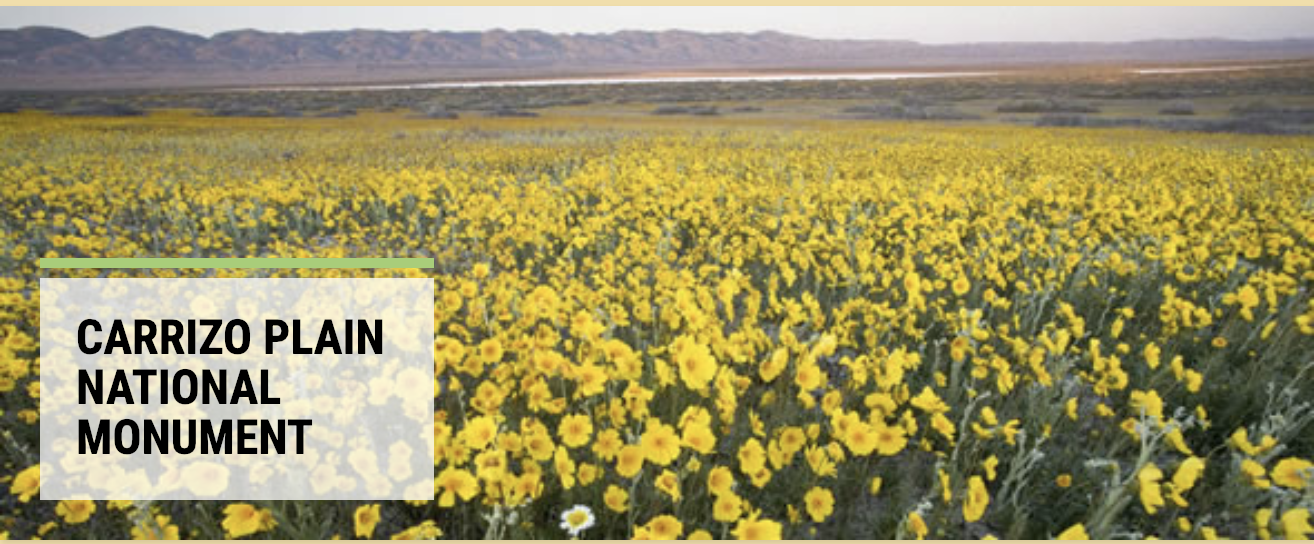 Carrizo Plain Overnight Trip