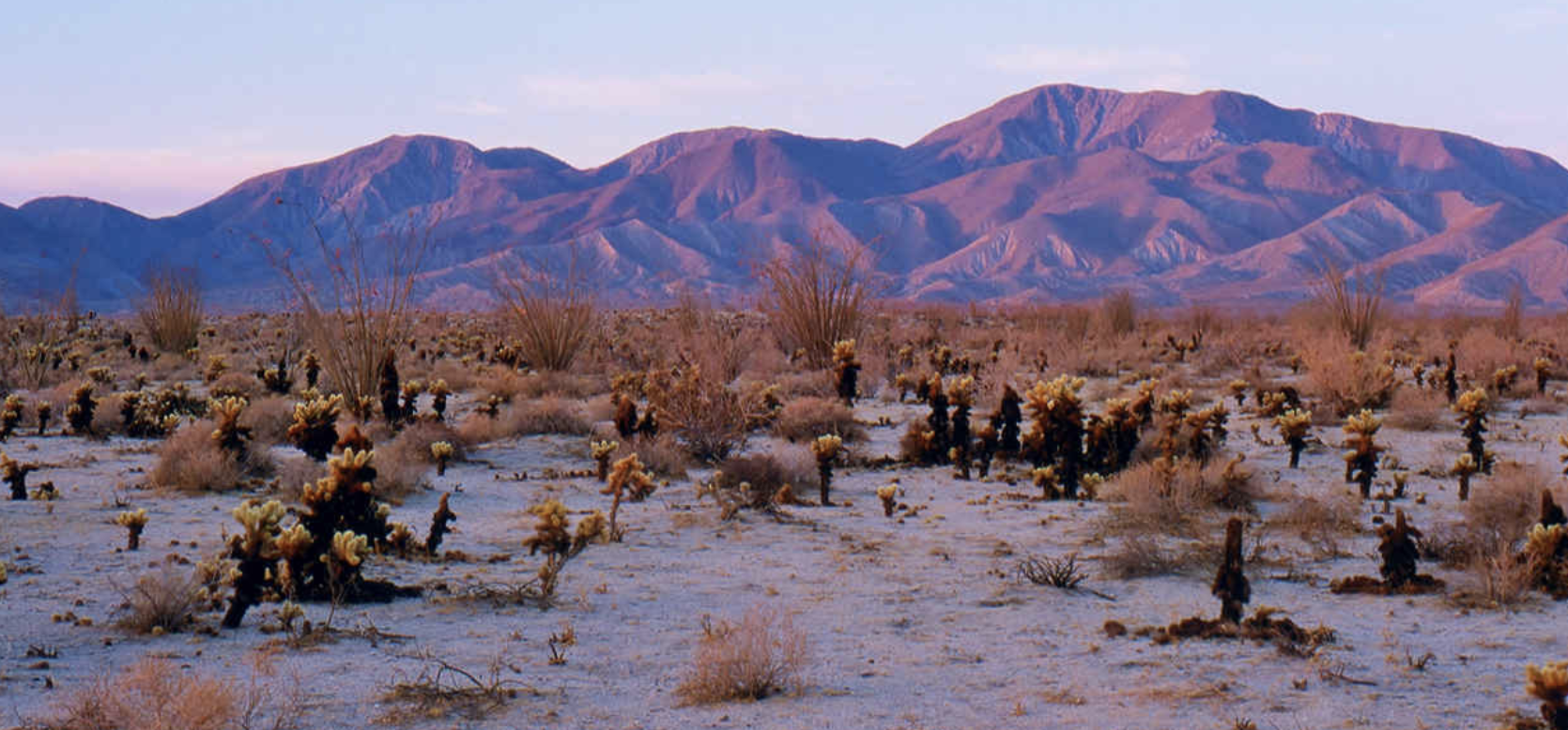 Nature exploration weekend at Anza-Borrego State Park