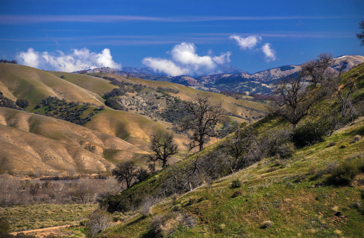 Bird Migration at Tejon Ranch (date is confirmed)