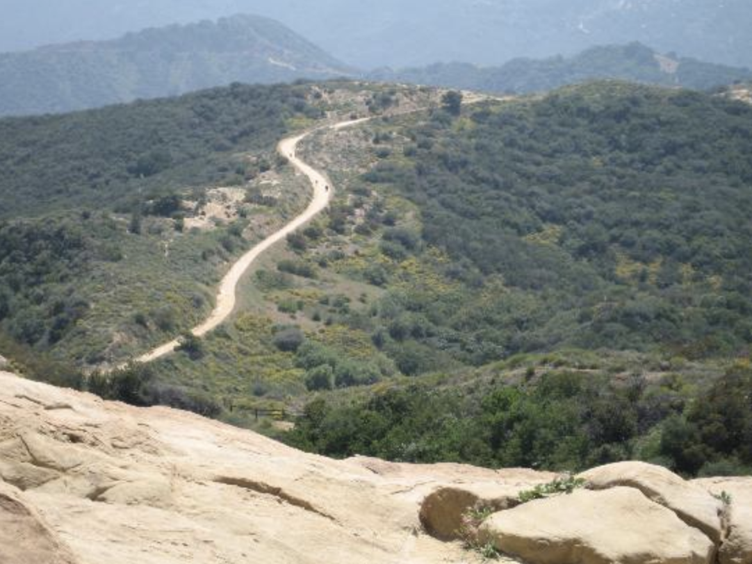 Topanga State Park Bird Walk