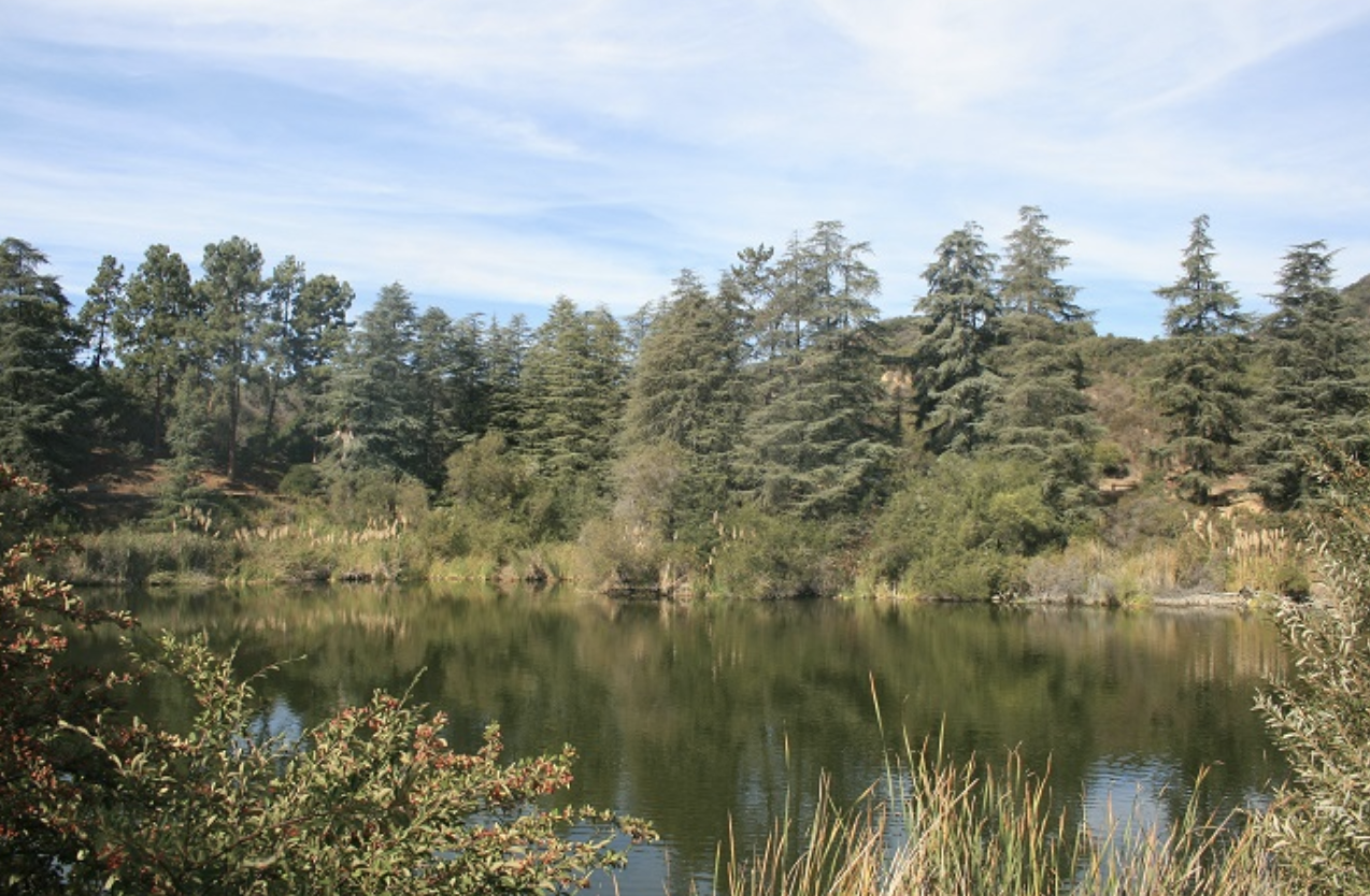 2nd Sunday–Bird Walk at Upper Franklin Canyon / Sooky Goldman Nature Center
