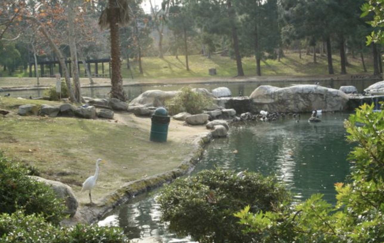 Kenneth Hahn State Recreation Area Bird Walk