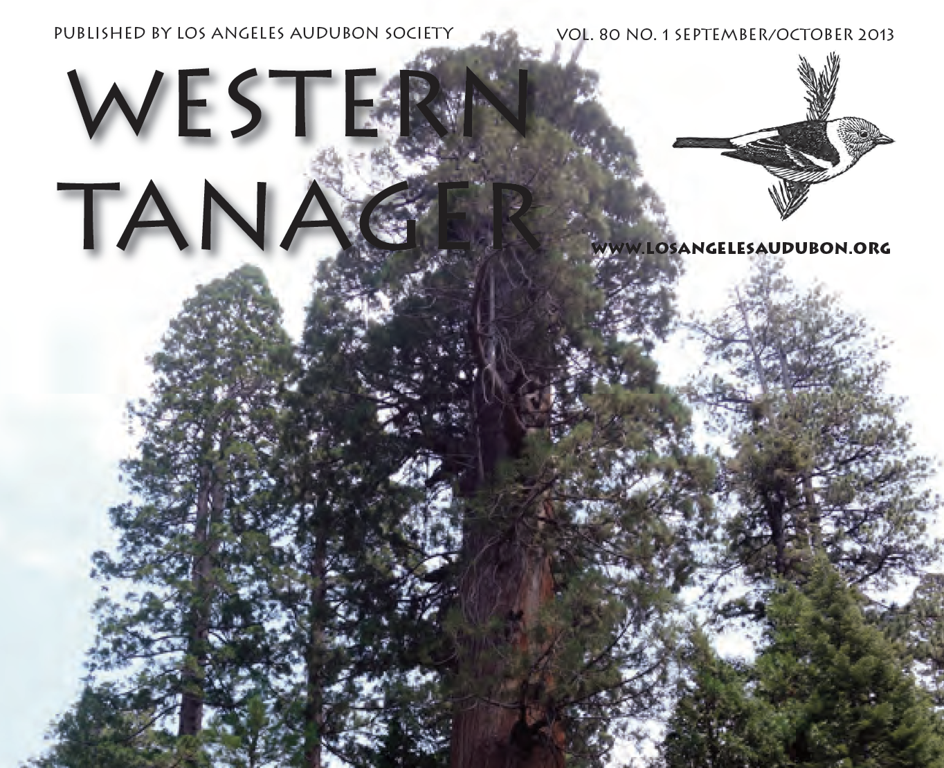 Western Tanager, Vol. 80 No. 1, Sep-Oct 2013