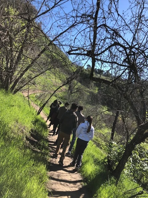 trail.jpg