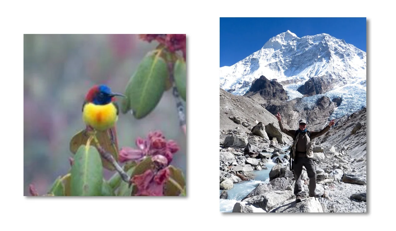 LA Audubon Speaker Series - Birding Nepal - High and Low