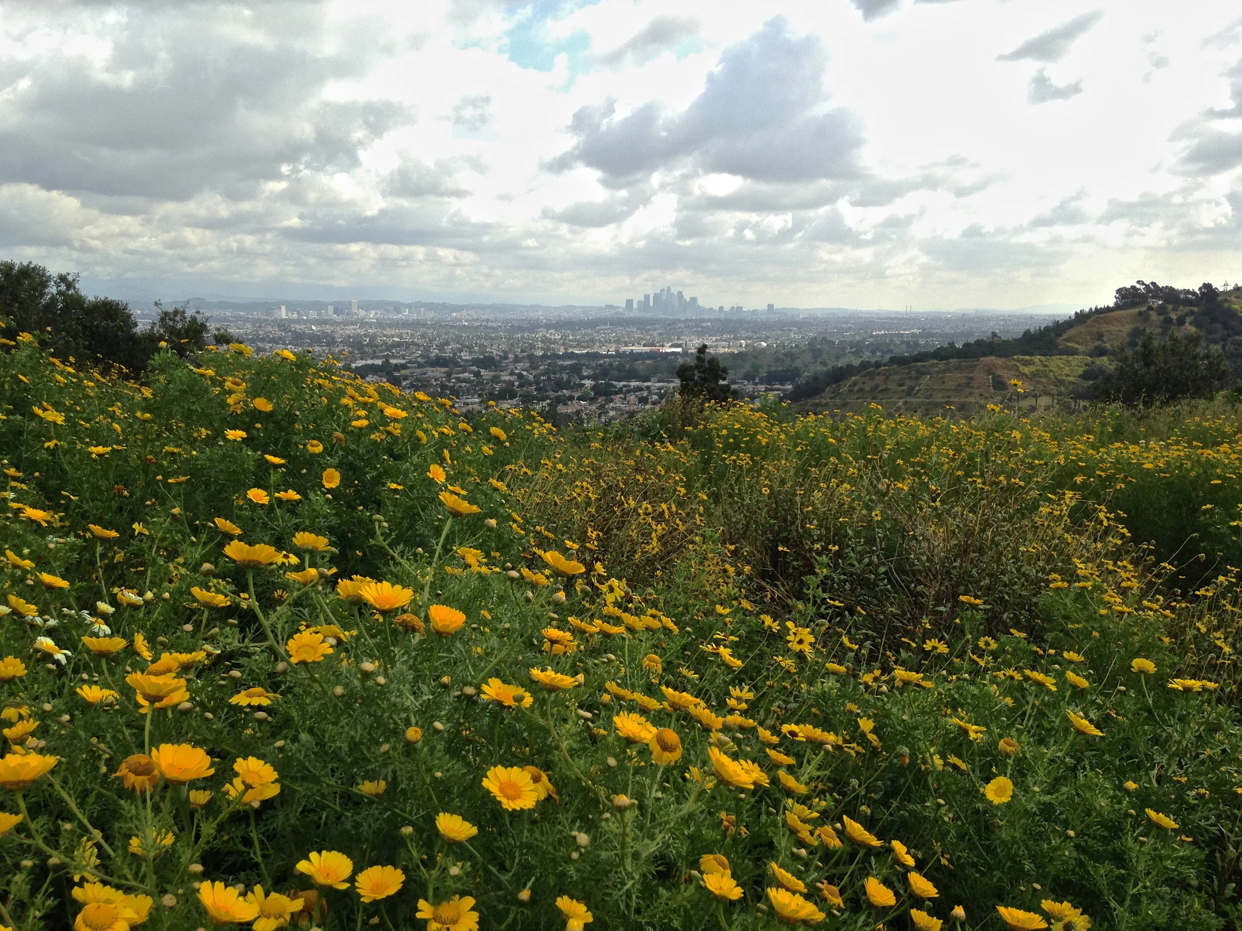 Los Angeles Audubon Member Meeting