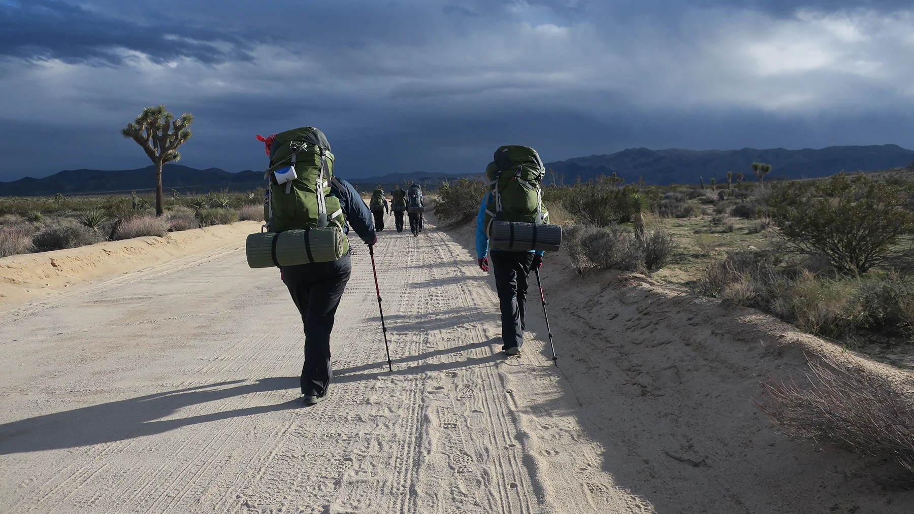 Outward Bound California instructors and Los Angeles Audubon backpacking group, hiking to the first camping site.