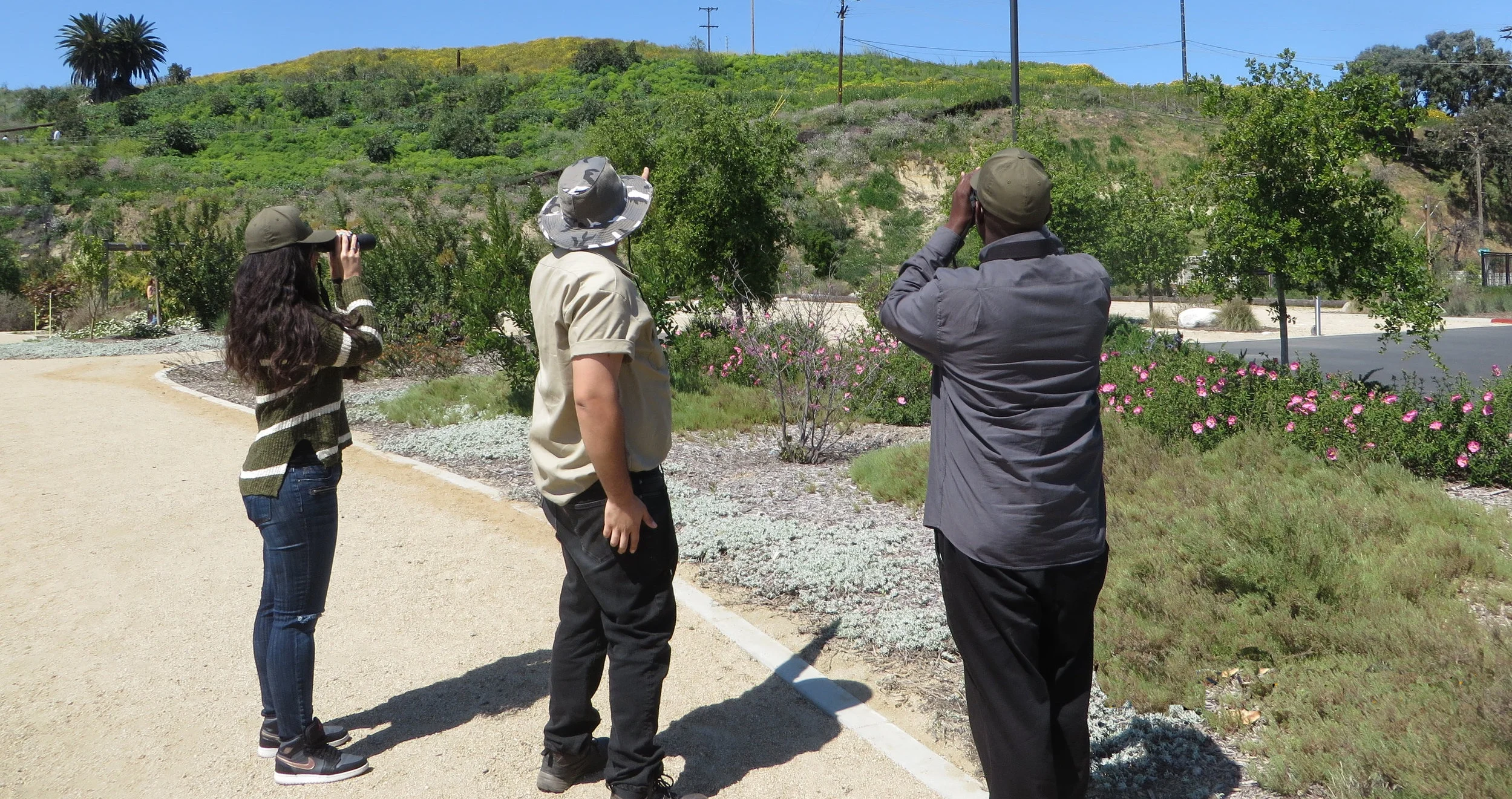 Weekly Nature Walk at Stoneview Nature Center