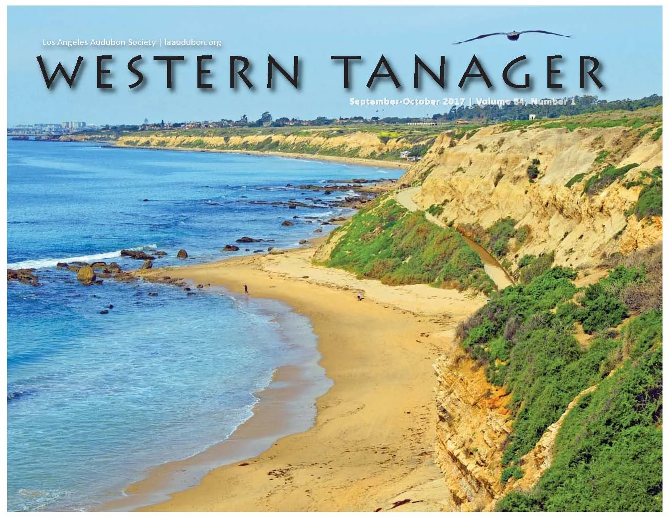 Western Tanager, Vol. 84 No. 1, Sep-Oct 2017