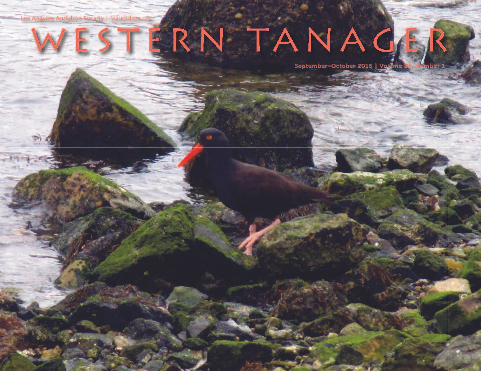 Western Tanager, Vol. 83 No. 1, Sep-Oct 2016