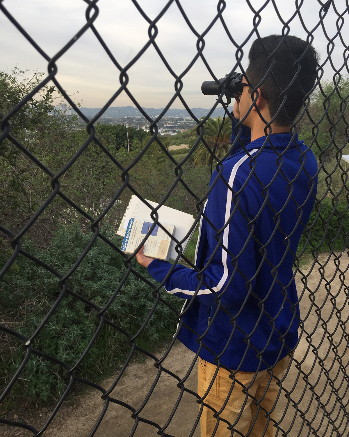 Ahmad conducts a bird survey at Baldwin Hills Scenic Overlook.