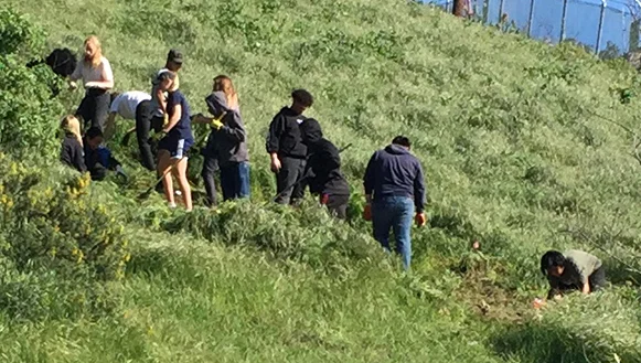 Students at work on the hillside adjacent to the greenhouse at Baldwin Hills Scenic Overlook.