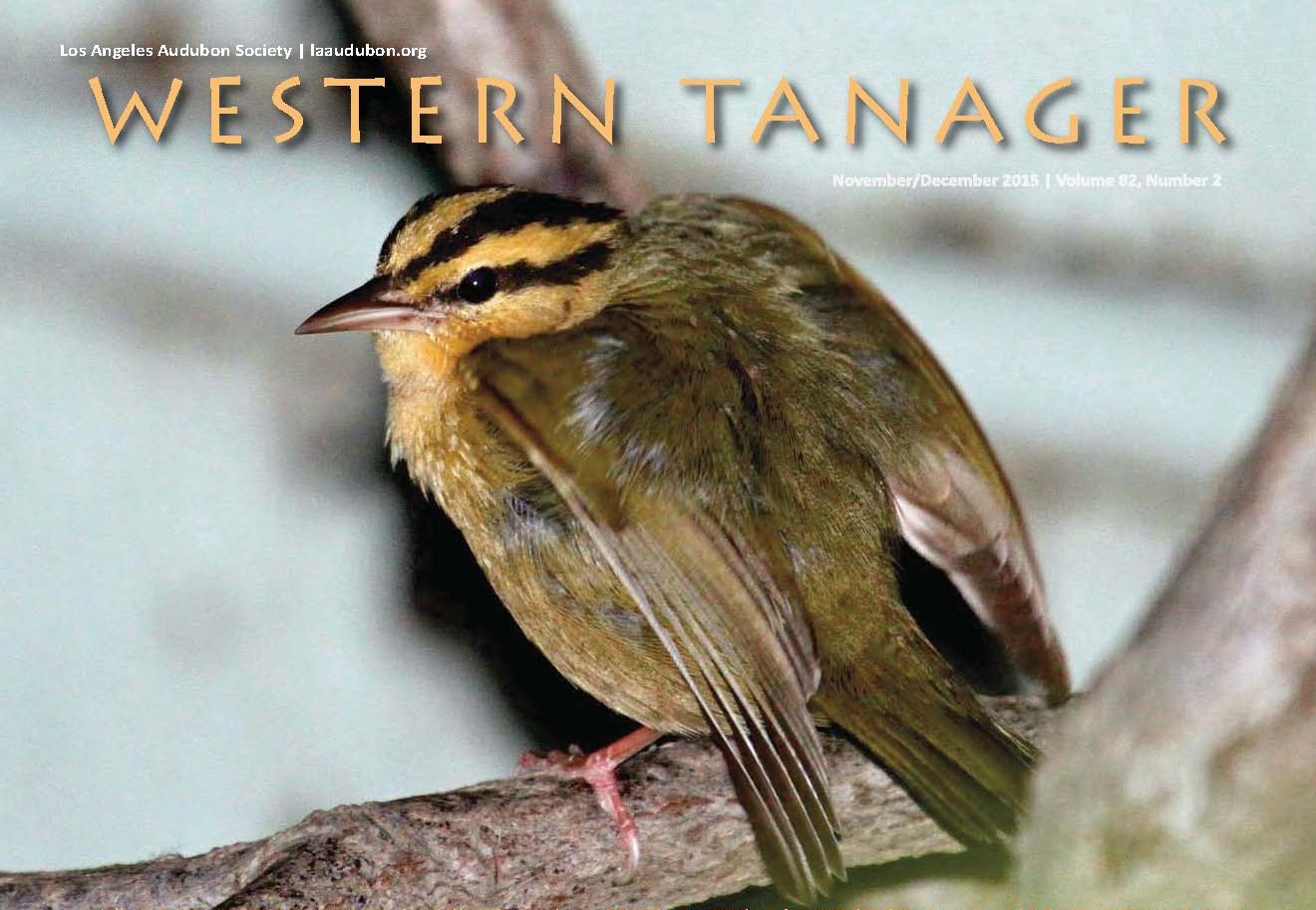 Western Tanager, Vol. 82 No. 2, Nov-Dec 2015