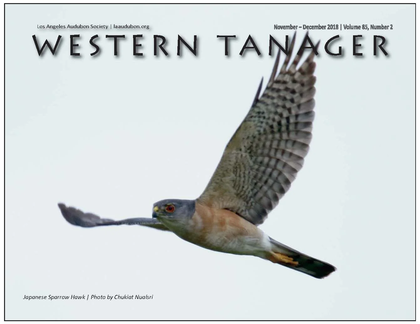 Western Tanager, Vol. 85 No. 2, Nov-Dec 2018