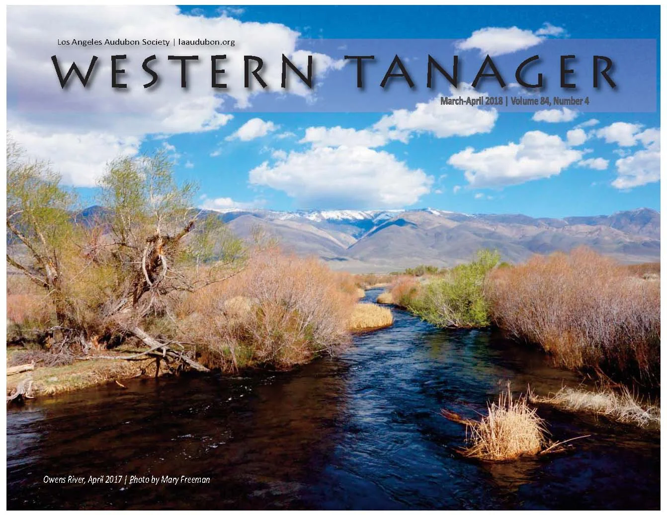 Western Tanager, Vol. 84 No. 4, Mar-Apr 2018