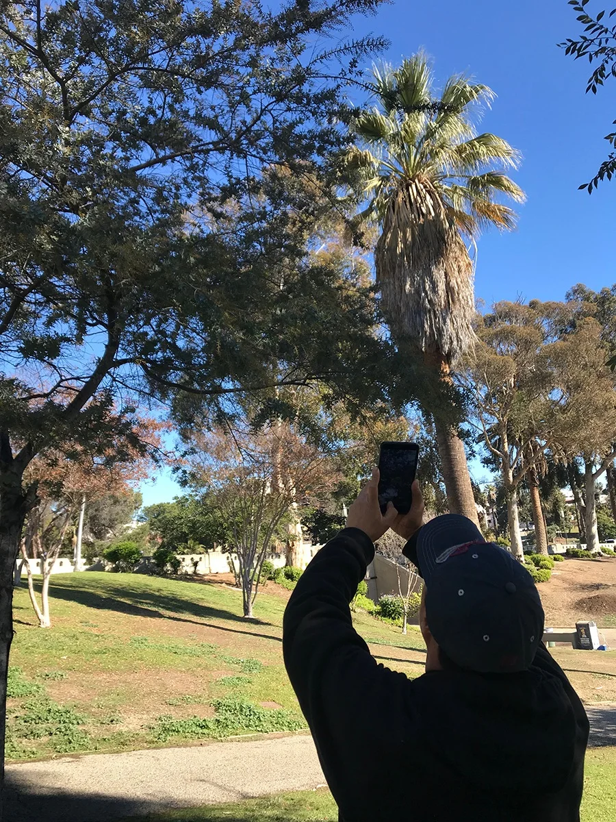 INTERPRETING NATURE: Community Birding in the Heart of Los Angeles