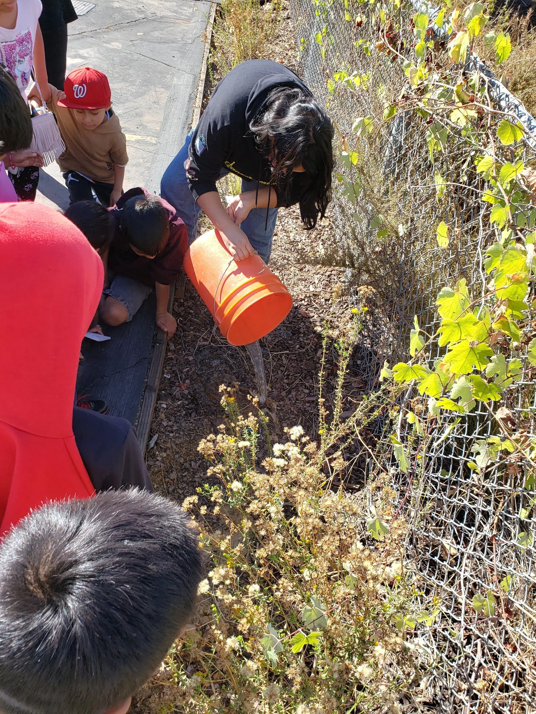 Esperanza Elementary School- Community and Habitat Building in the ...