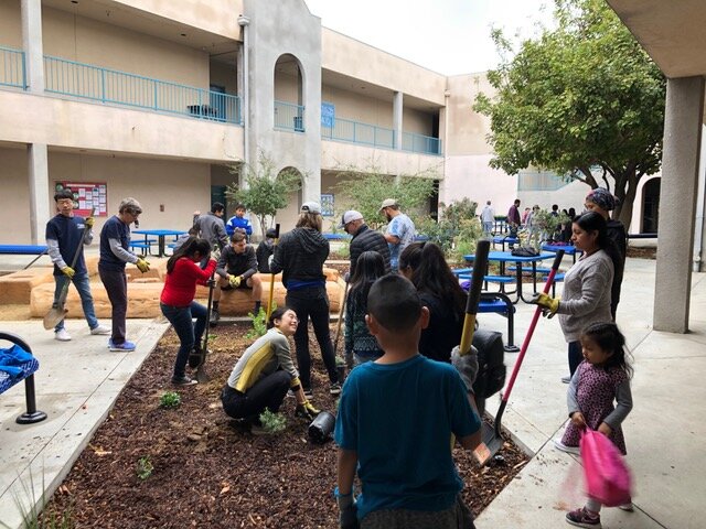  Volunteers, students and their parents planting in the Esperanza courtyard. 
