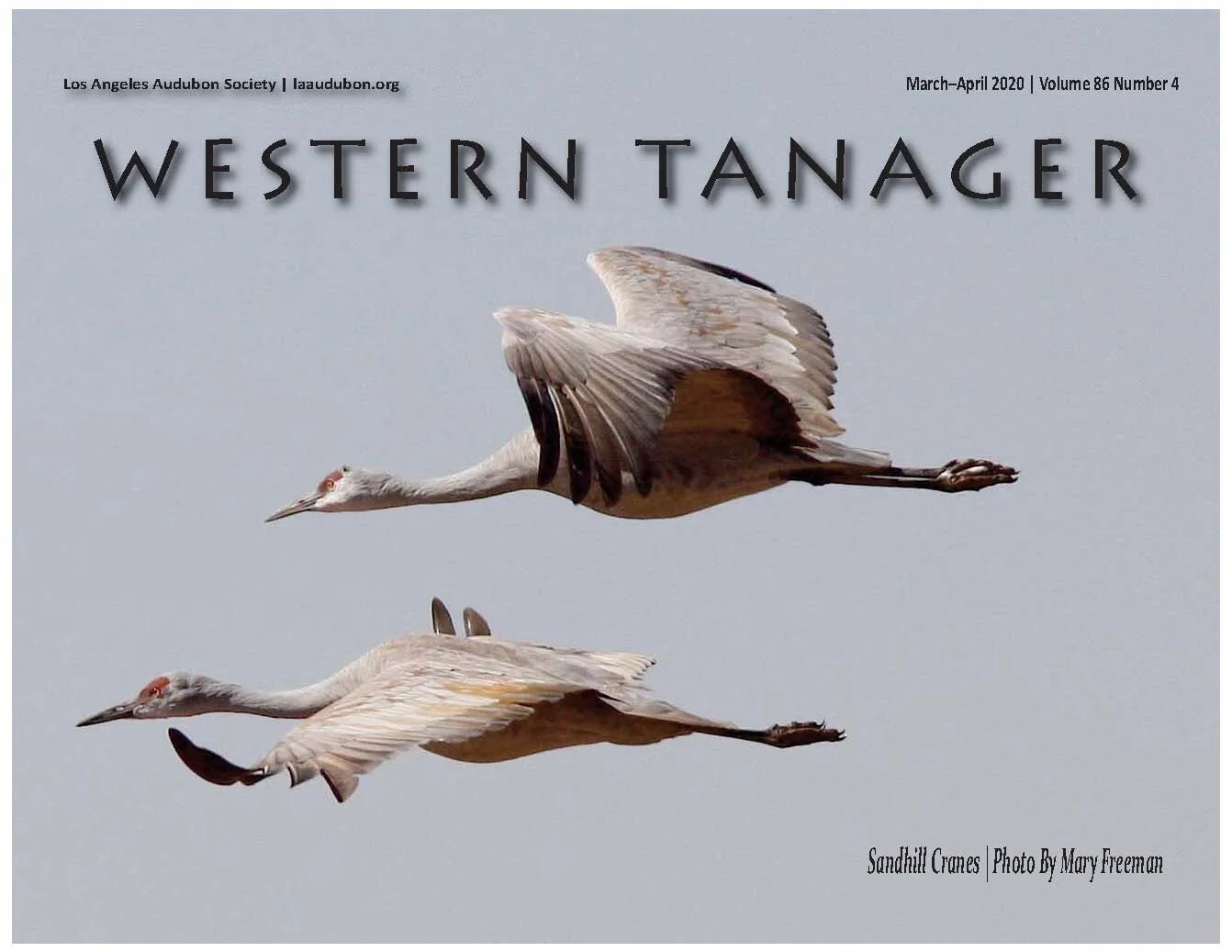 Western Tanager, Vol. 86 No. 4, Mar–Apr 2020