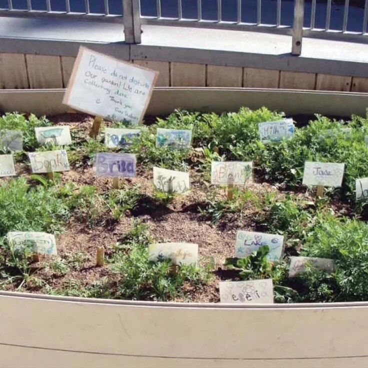 Western Tanager, Vol. 79 No. 1, Sep–Oct 2012