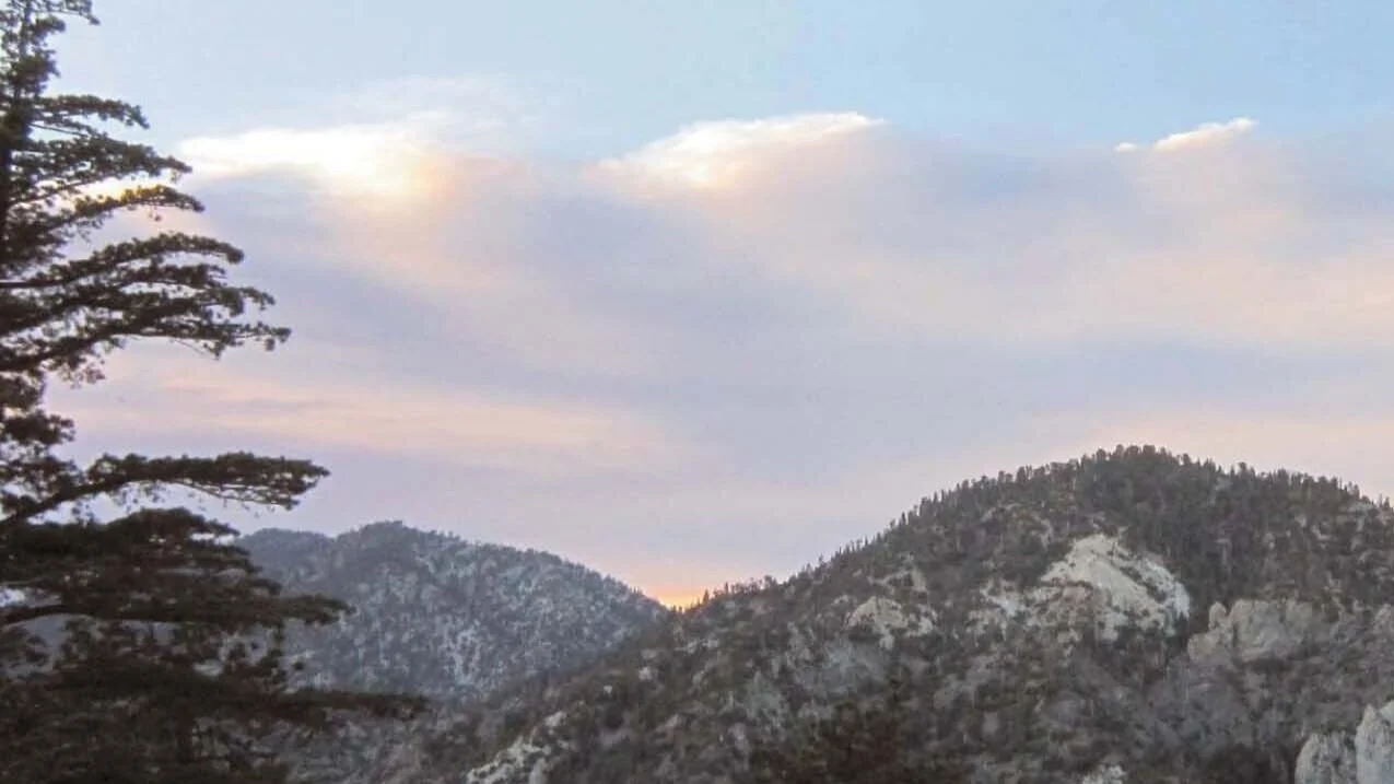 Western Tanager, Vol. 79 No. 6, Jul–Aug 2013