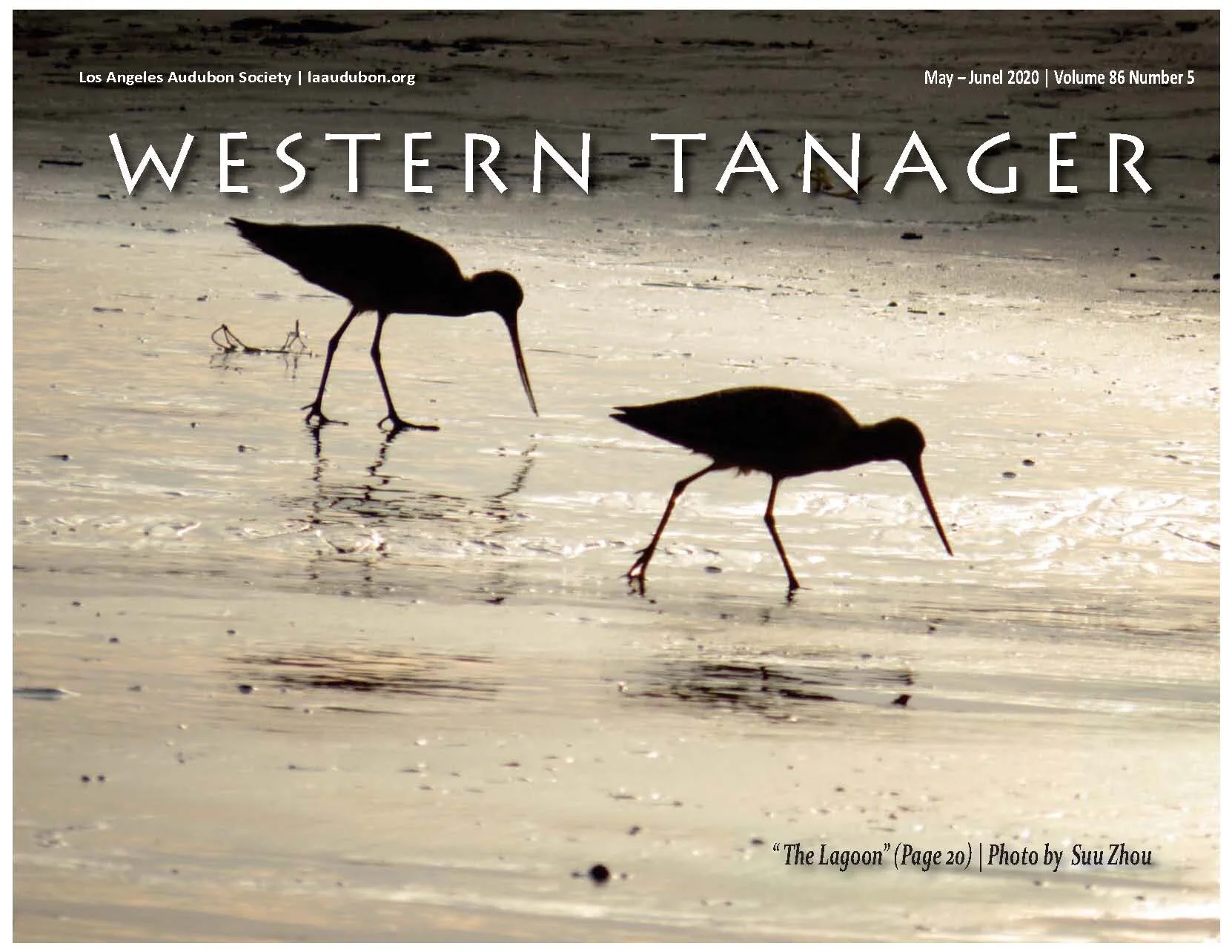 Western Tanager, Vol. 86 No. 5, May-June 2020