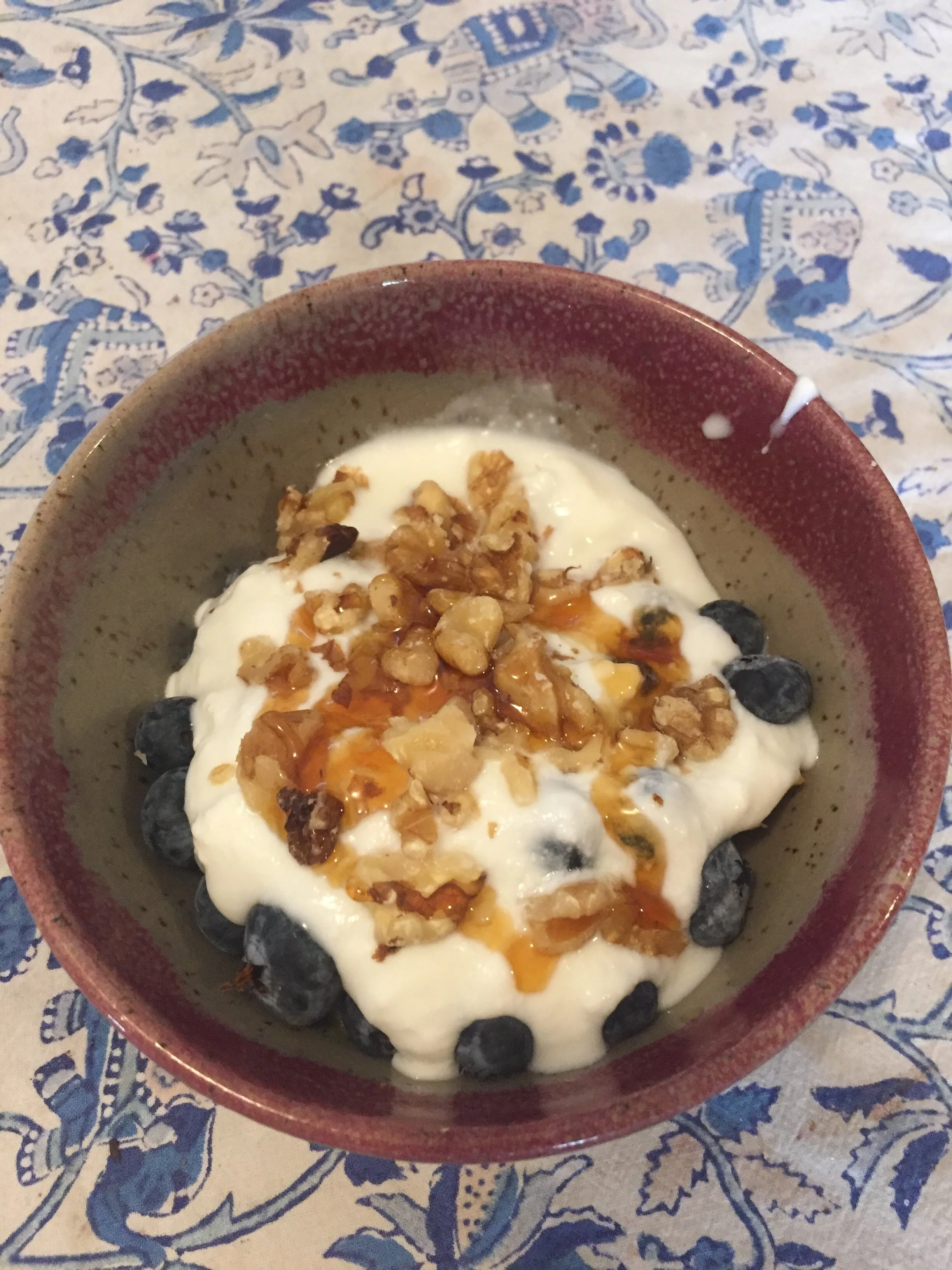 PLASTIC FREE PANTRY — Homemade Yogurt