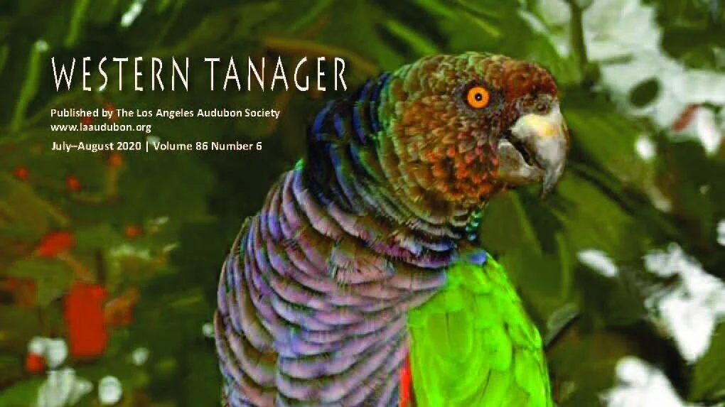 Western Tanager, Vol. 86 No. 6, July–August 2020