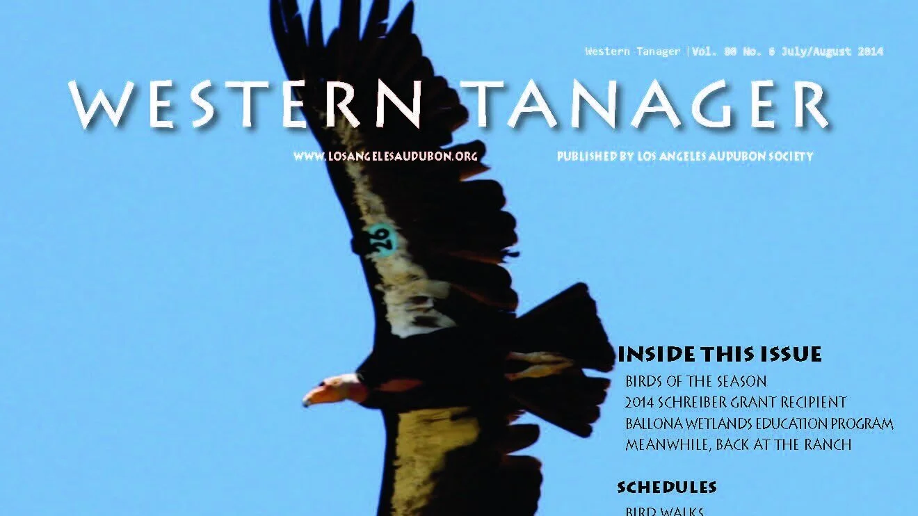 Western Tanager, Vol. 80 No. 6, July-August 2014
