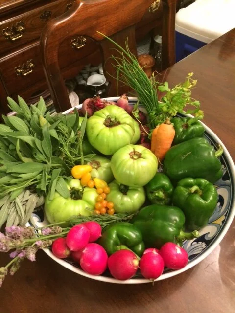 Coronavirus Nature Opportunities