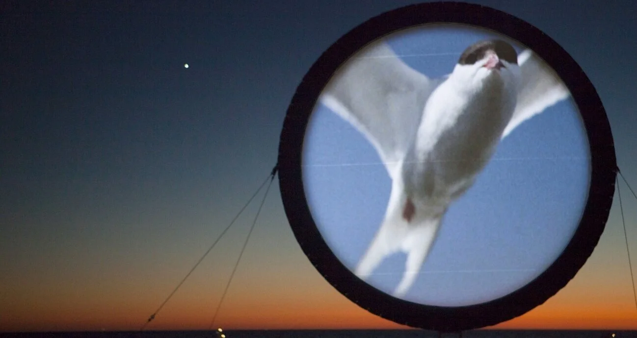 CircumSolar, an online presentation by Rebeca Méndez