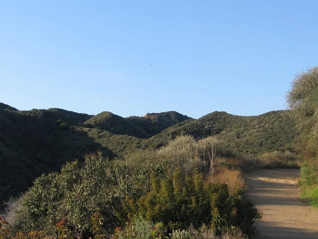 Beginner's Bird Walk - Will Rogers State Historic Park