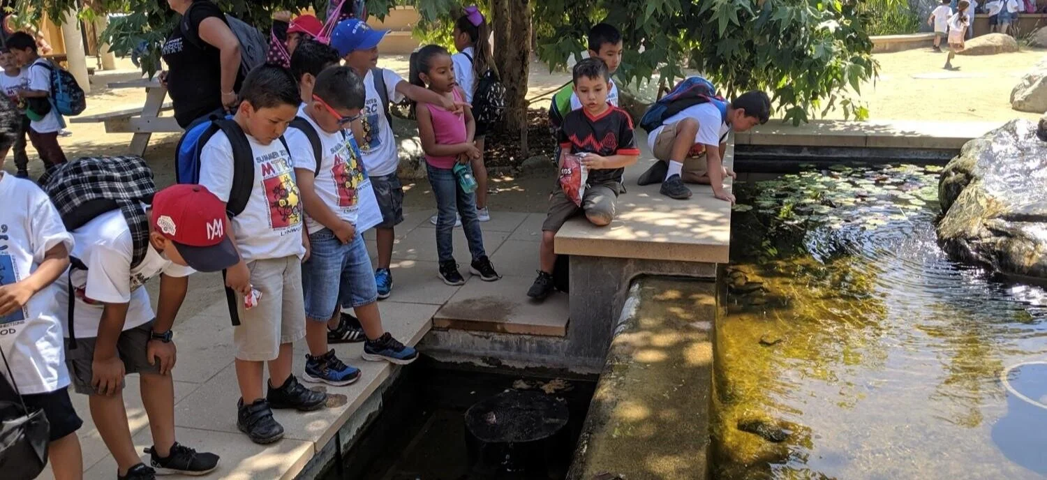 Audubon Center at Debs Park - Community Bird Walk