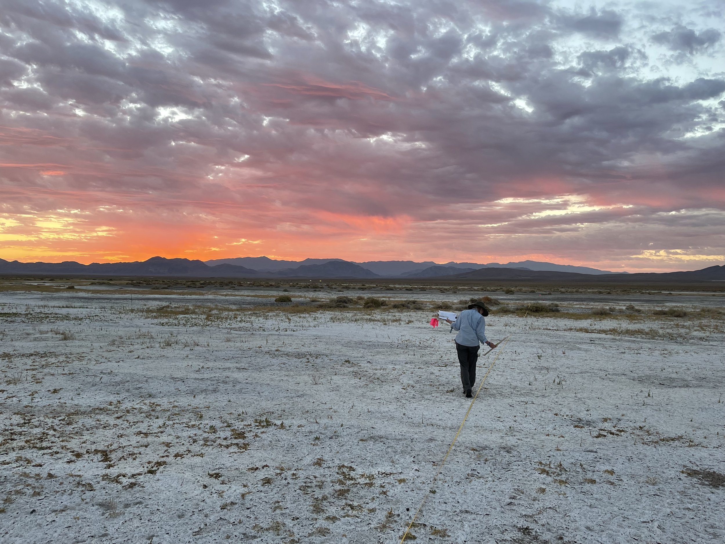 Dr. Naomi Fraga - Plant Conservation in Southern California