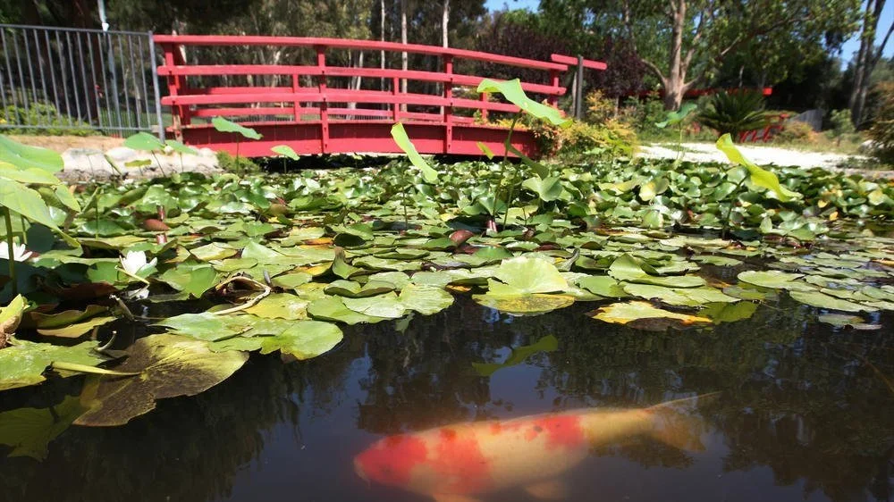 MEMORIAL GATHERING—Sat., Nov. 13, 2021