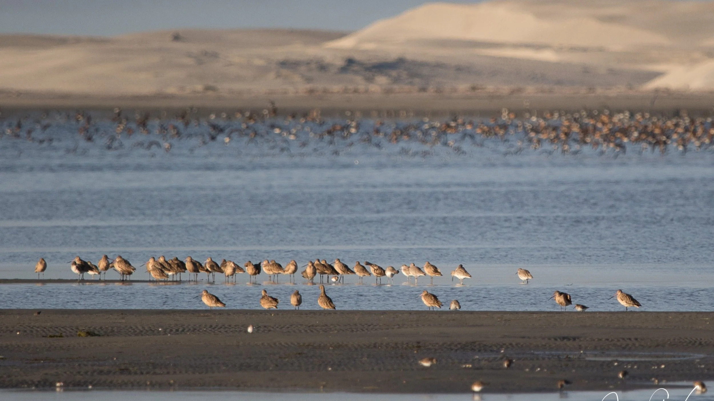 Wed., March 8, 2023 — Monthly Program Presentation