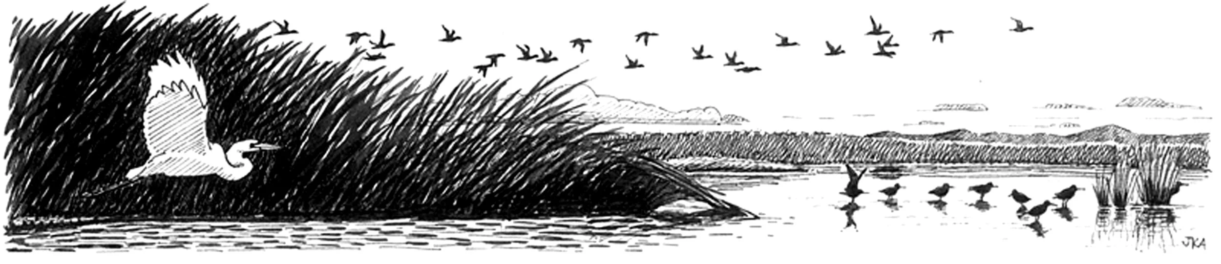 CONSERVATION CONVERSATION