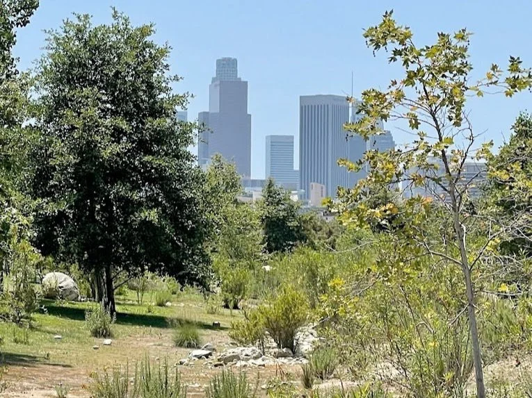 Bilingual: Los Angeles State Historic Park Bird Walk