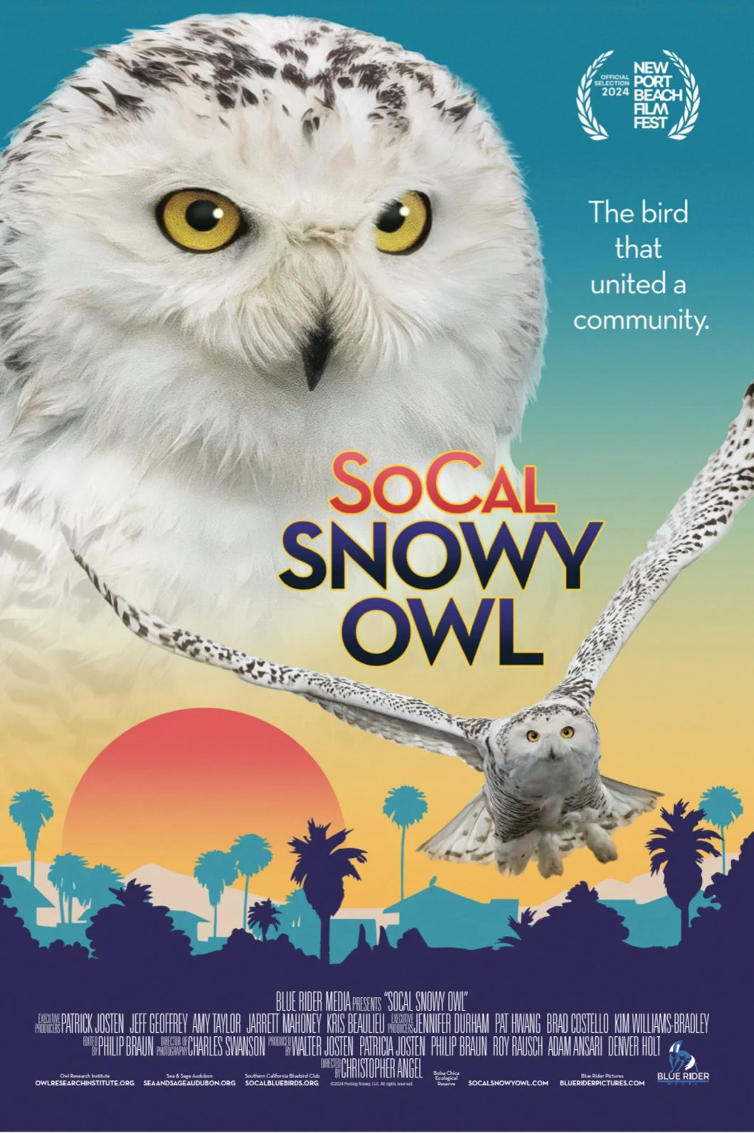 The Making of SoCal Snowy Owl - Christopher Angel