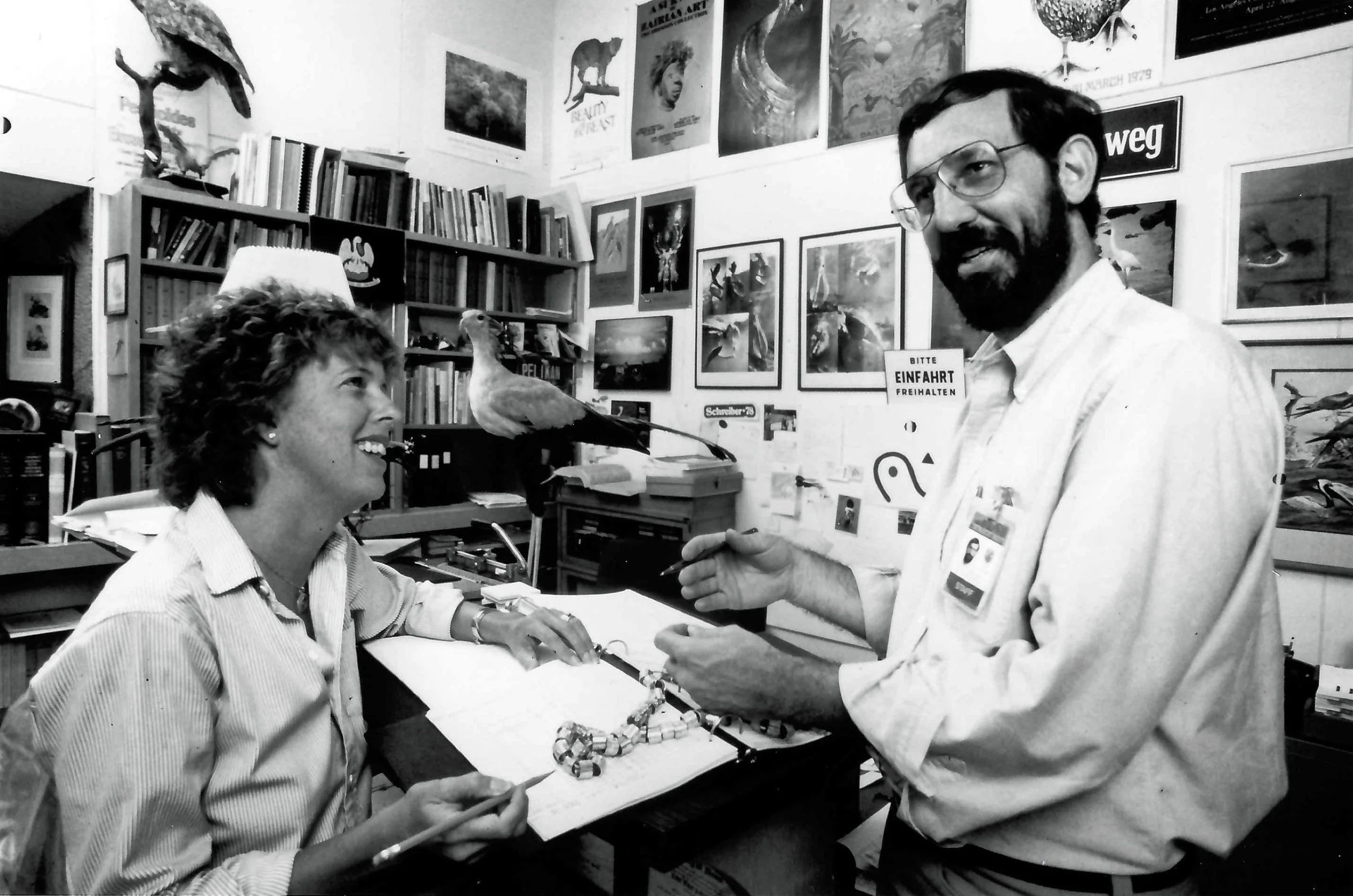 Ralph W. Schreiber Ornithology Research Awards for 2025 - Call for Applications